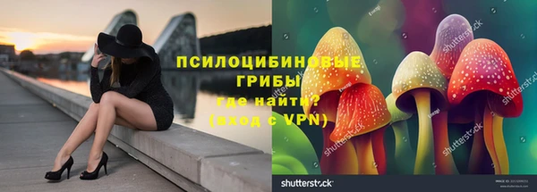 таблы Верея