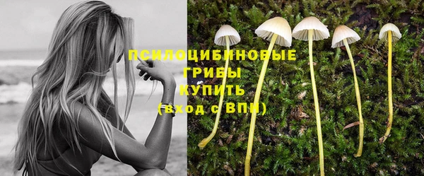 таблы Верея