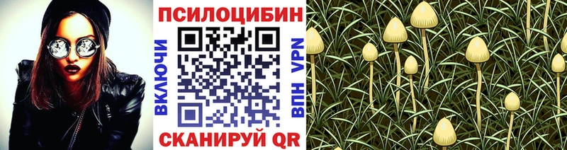 Галлюциногенные грибы Psilocybine cubensis  Купить где  Мурино 